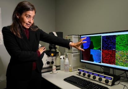Consuelo Walss Bass muestra imágenes relacionadas con su investigación en genética psiquiátrica